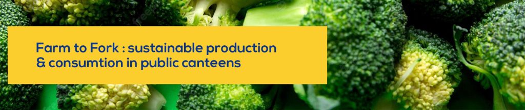 COMFOCUS will be present in the “Farm to Fork: sustainable production & consumption in public canteens” Summer School!